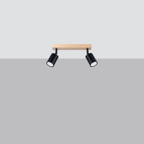 Ceiling lamp VERDO 2 black