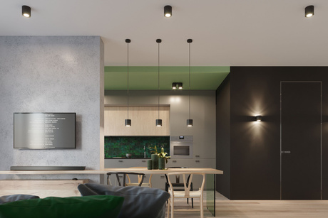 Ceiling pendant lamp ORBIS 1 black + 1x LED Bulb GU-10 3000K Warm 7W 620lm