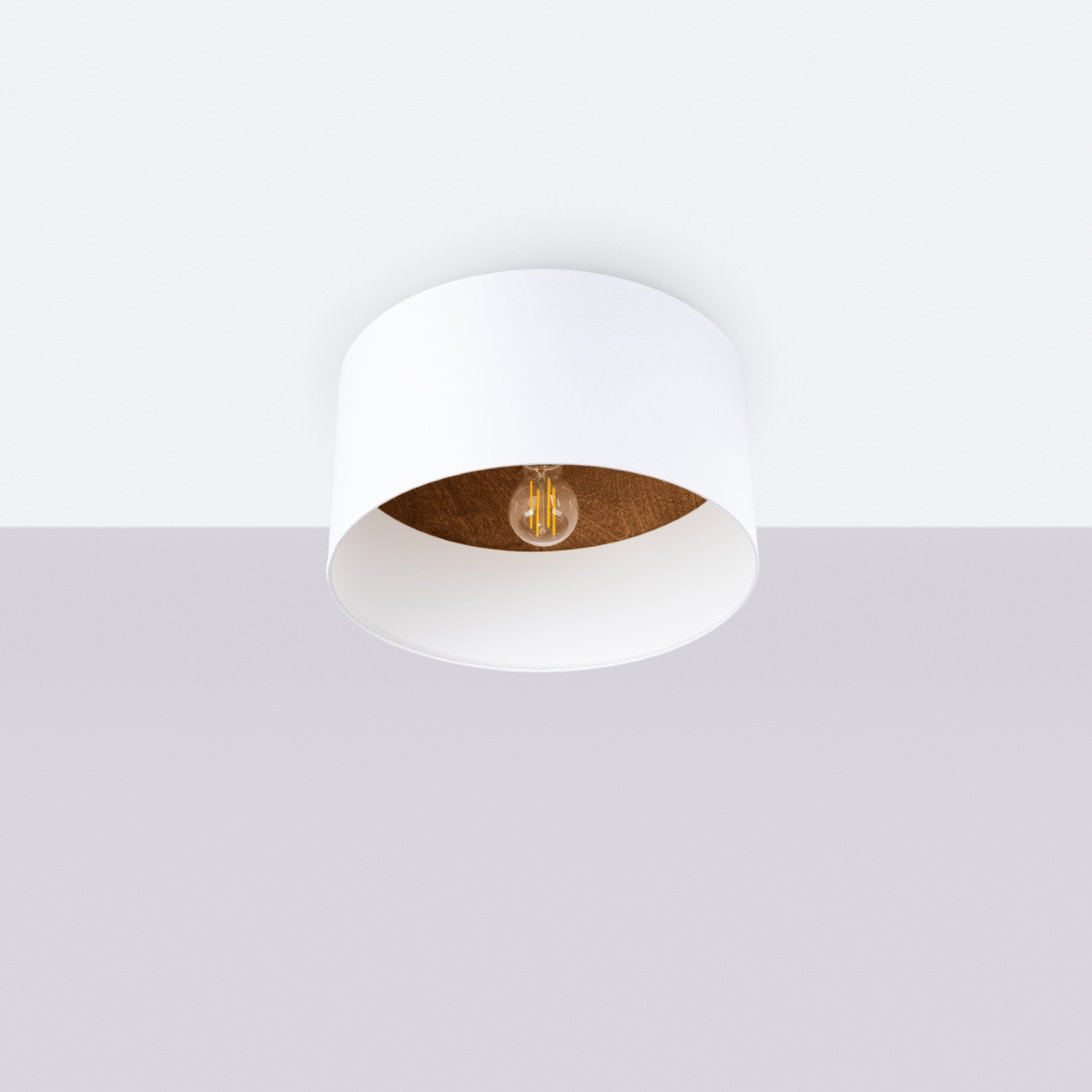 Ceiling lamp TELESTO white/dark brown + 1x LED Bulb E27 3000K Warm White 7.5W 620lm