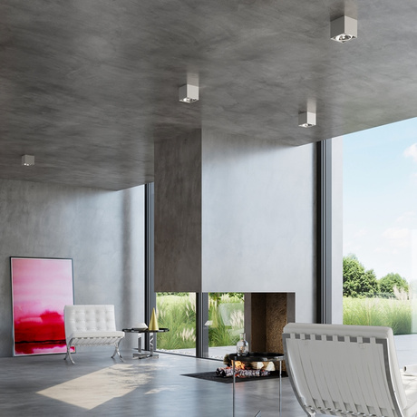 Ceiling lamp BLAKE gray + 1x LED Bulb GU10 AR111 4000K COOL 10W 850lm