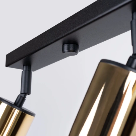 Ceiling lamp WINX 4L black/gold