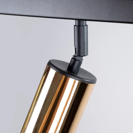 Ceiling lamp WINX 4L black/gold