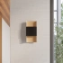 Wall lamp DURLIN gold/black