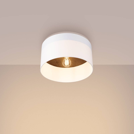 Ceiling lamp TELESTO white/dark brown + 1x LED Bulb E27 4000K Cool White 7.5W 690lm