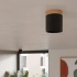 Ceiling lamp RIF black