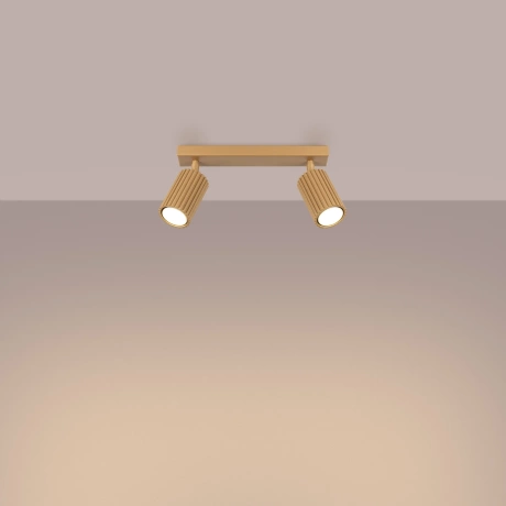 Ceiling lamp KARBON 2 gold