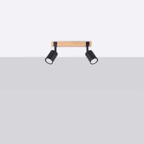 Ceiling lamp FAGER 2 black