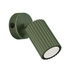 Wall lamp KARBON olive green with a switch