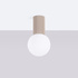 Ceiling lamp HALO taupe IP44