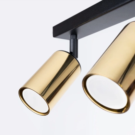 Ceiling lamp WINX 2 black/gold