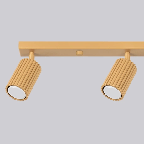 Ceiling lamp KARBON 4L gold