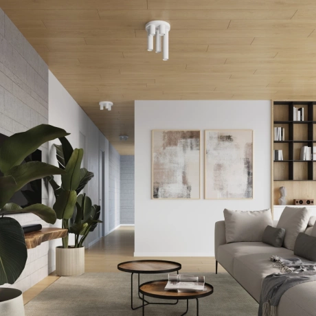 Ceiling lamp LAGOS 3P white