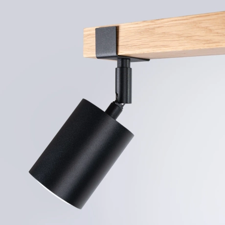 Ceiling lamp FAGER 2 black