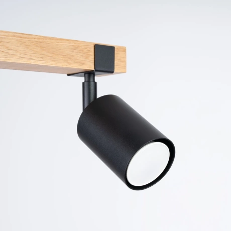 Ceiling lamp FAGER 2 black