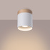 Ceiling lamp RIF white + 1x LED Bulb GU-10 3000K Warm 7W 510lm