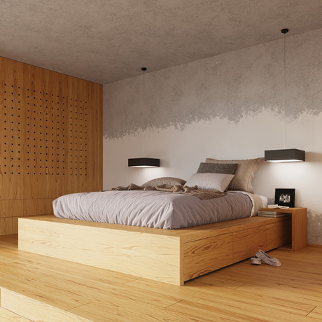 Ceiling lamp HORUS 25 BLACK + 1x LED Bulb E27 4000K Cold White 7.5W 650lm