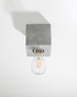 Ceiling light ARIZ concrete + 1x LED Bulb E27 4000K Cool White 7.5W 650lm