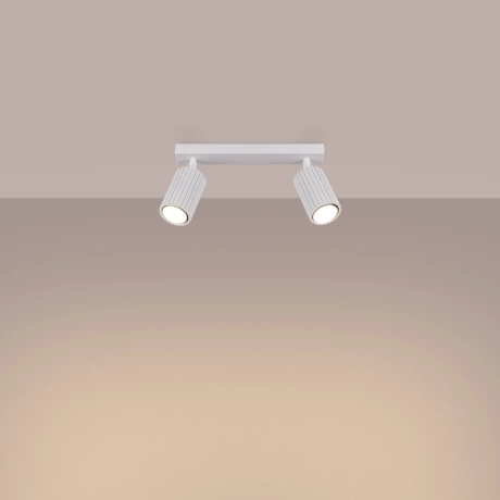 Ceiling lamp KARBON 2 white