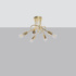 Chandelier LOOP 5 glossy gold