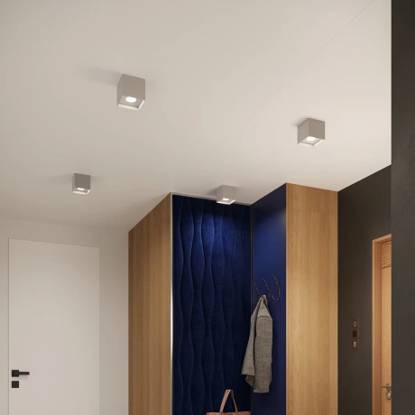 Ceiling lamp HATI grey