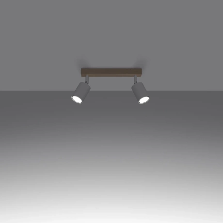 Ceiling lamp VERDO 2 white