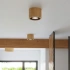 Plafond BASIC 1 natural wood