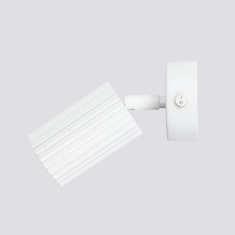 Wall lamp KARBON white with a switch