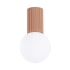 Ceiling lamp HALO mocha IP44
