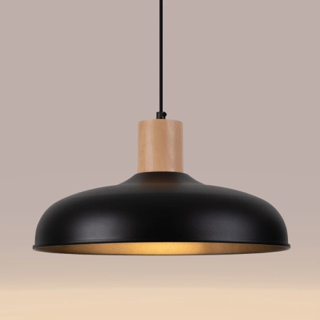 Pendant lamp INDY black