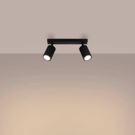 Ceiling lamp KARBON 2 black