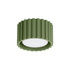 Ceiling lamp AURA 1 olive green Gx53