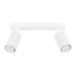 Ceiling lamp KARBON 2 white