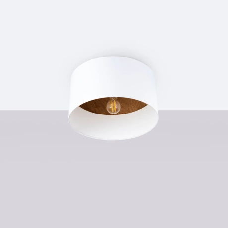 Ceiling lamp TELESTO white/dark brown