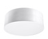 Ceiling lamp ARENA 25 GREY + 1x LED Bulb E27 4000K Cool White 7.5W 650lm