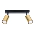Ceiling lamp WINX 2 black/gold
