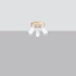 Ceiling lamp VERDO 3P white