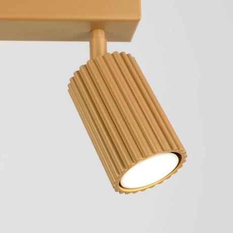 Ceiling lamp KARBON 2 gold