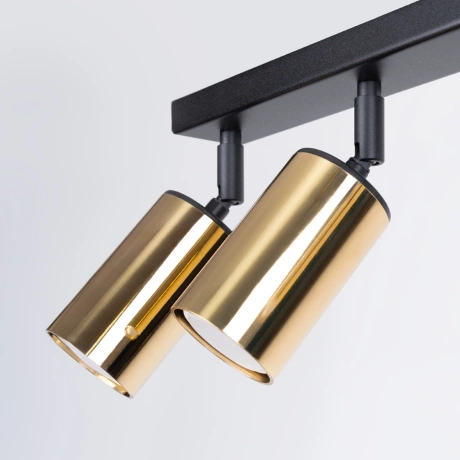 Ceiling lamp WINX 6L black/gold