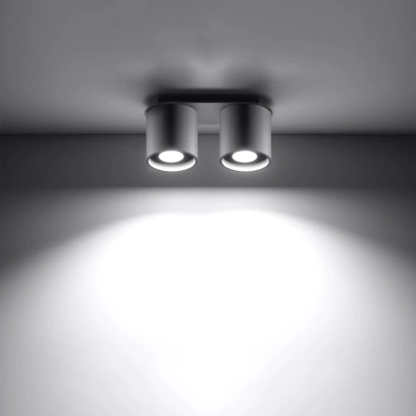 Ceiling lamp ORBIS 2 grey
