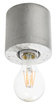 Ceiling lamp SALGADO concrete + 1x LED Bulb E27 4000K Cool White 7.5W 650lm