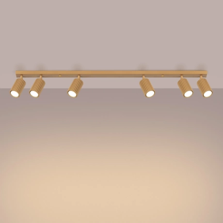 Ceiling lamp KARBON 6L gold