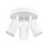 Ceiling lamp KARBON 3P white