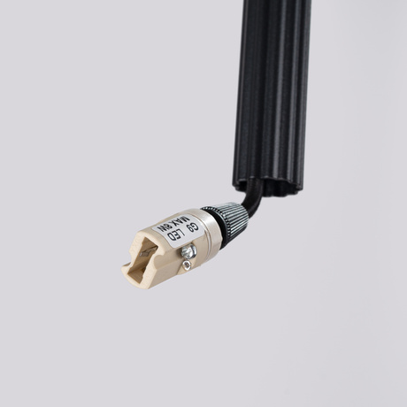 Pendant lamp ARCHE 2P black