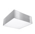 Ceiling lamp HORUS 25 GRAY + 1x LED Bulb E27 4000K Cool White 7.5W 650lm