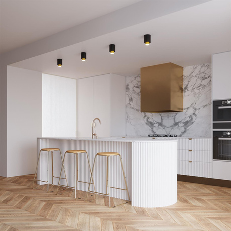 Ceiling lamp NESI in black + 1x LED bulb GU-10 3000K Warm 7W 510lm