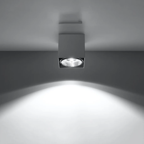 Ceiling lamp BLAKE grey