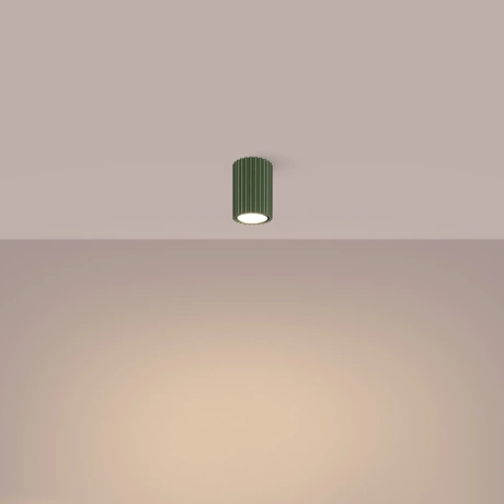 Ceiling lamp KARBON 10 olive green
