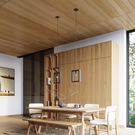 Ceiling lamp ARIES in wenge + 1x LED Bulb E27 4000K Cool White 7.5W 690lm