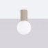 Ceiling lamp HALO taupe IP44