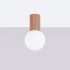 Ceiling lamp HALO mocha IP44